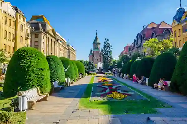 Timișoara üniversiteleri
